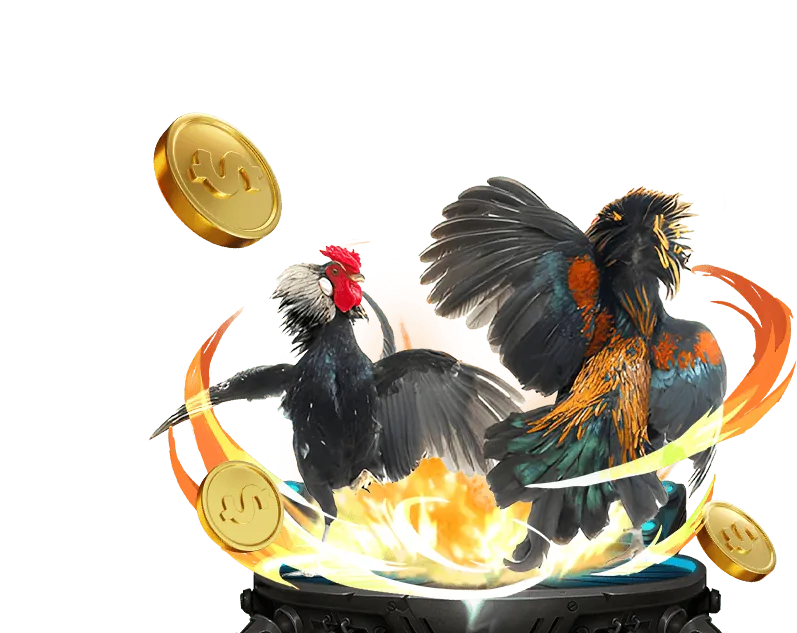 Hỗ trợ và Câu hỏi thường gặp JBO